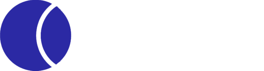 Dandee Consulting logo