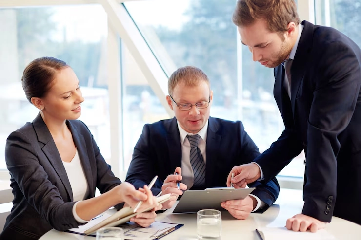 Why Auditing Firms Work with DanDee Consulting​