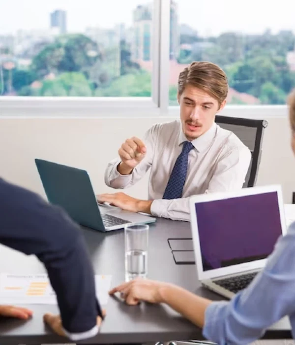 Workday Consultants for Auditing Firms​